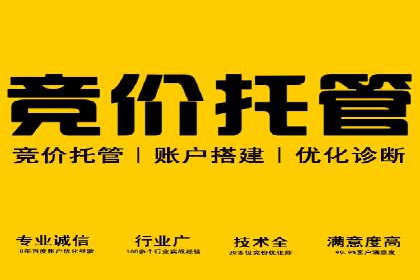 SEM竞价培训：经典案例分析与启示